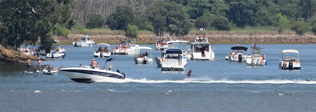 Grupo de barcos en el estuario del Miera, entorno del águila