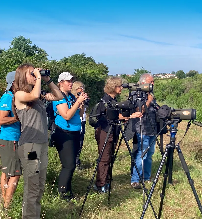 Grupo de voluntarios y curiosos con prismáticos en el monte observando águilas