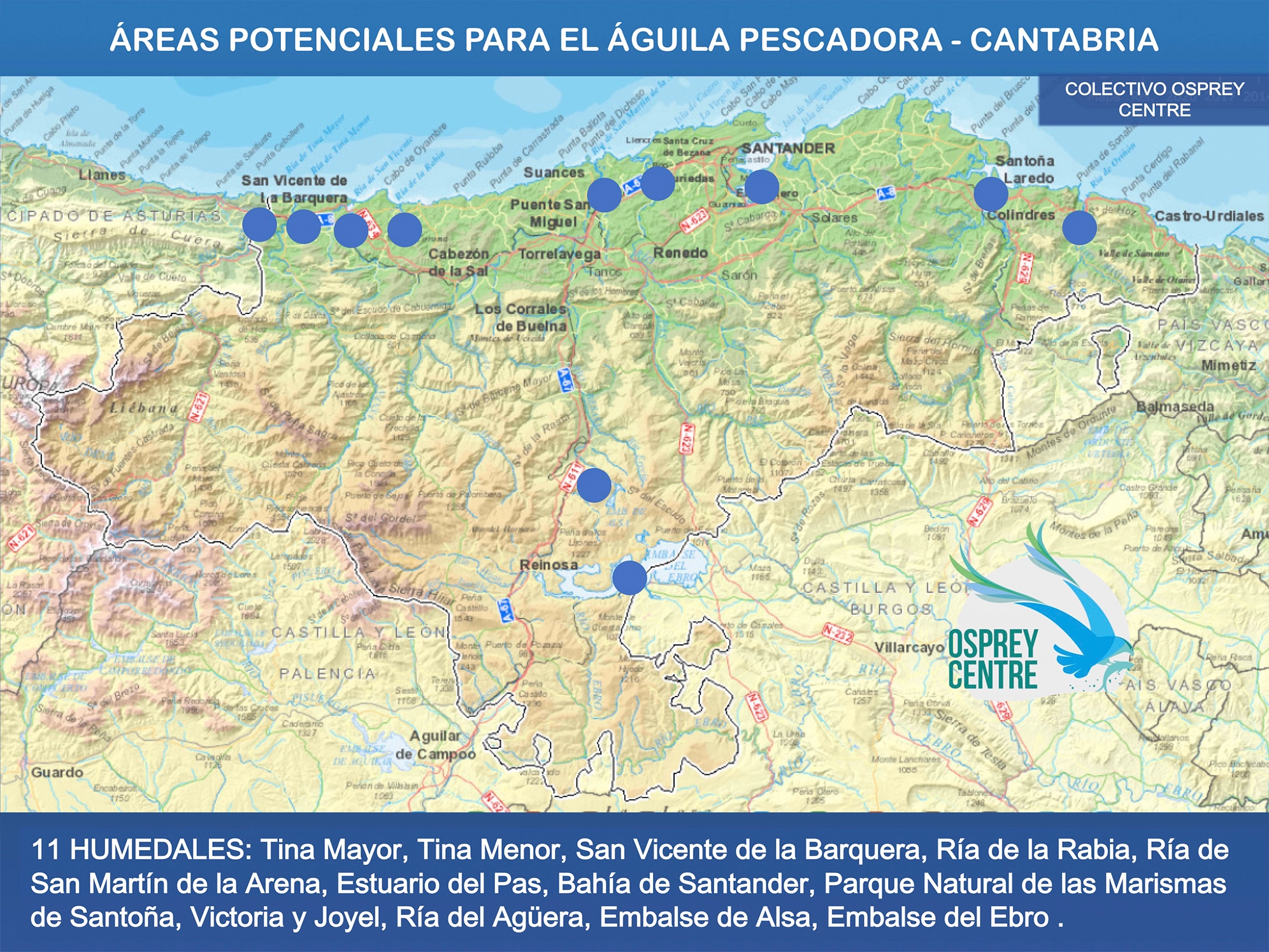 áreas potenciales águila pescadora cantabria